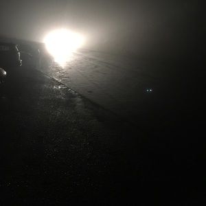 Meet your Posher, Gus